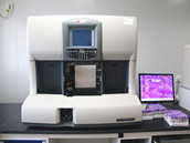 贝克曼LH750全自动血细胞分析仪